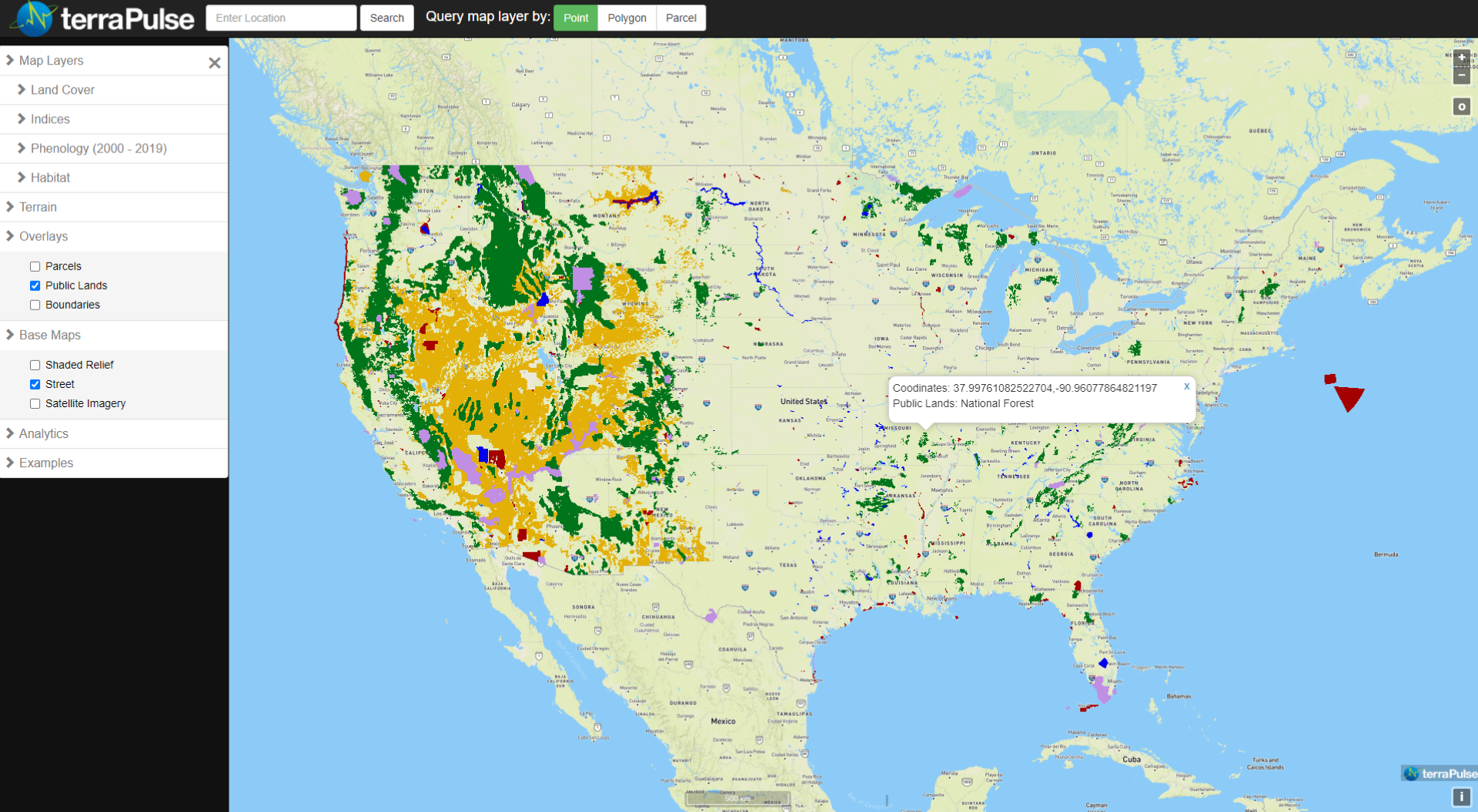 united states forest