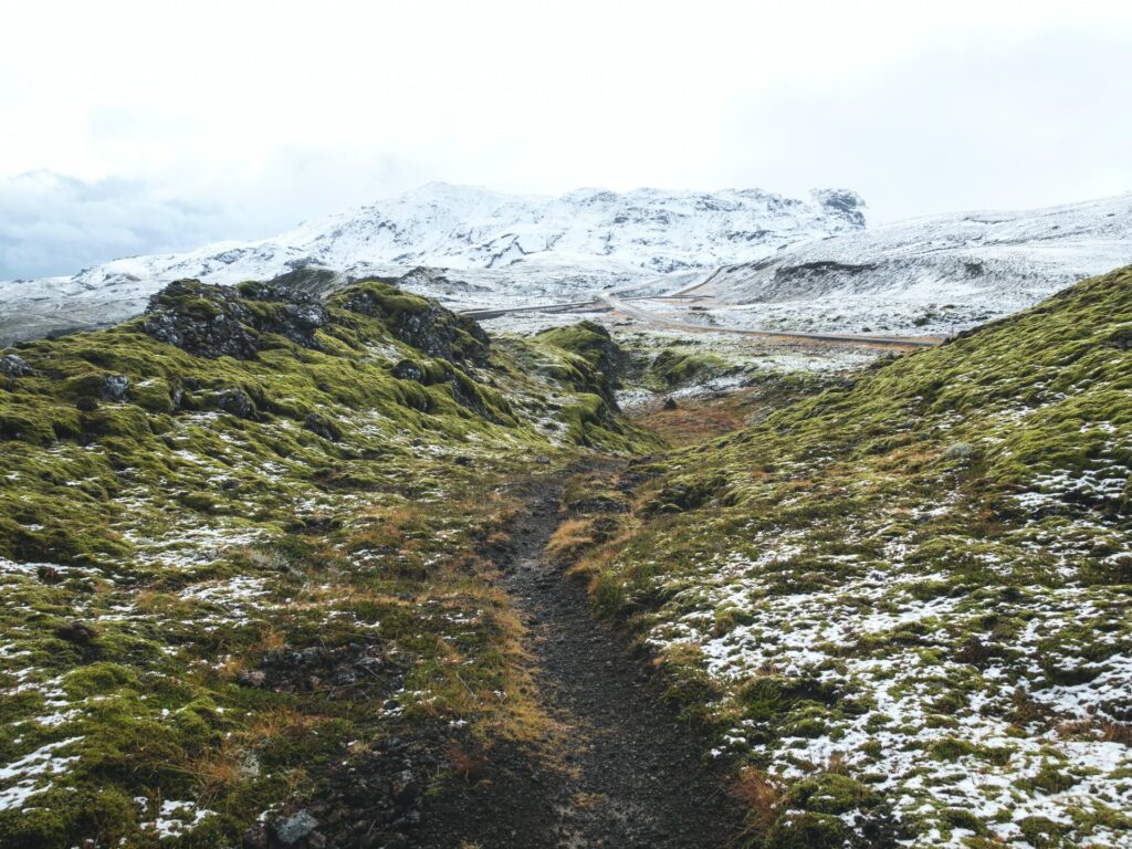 snow covered tundra