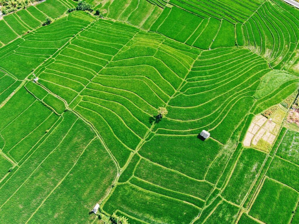 tilled agricultural soil