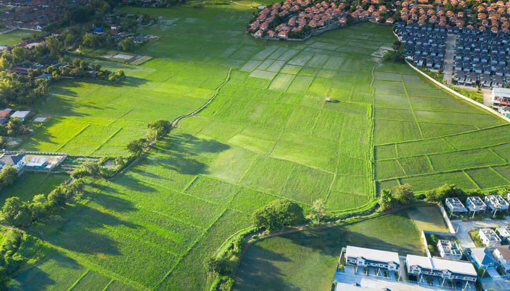 cultivated agricultural land