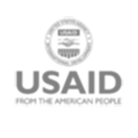 usaid gray icon