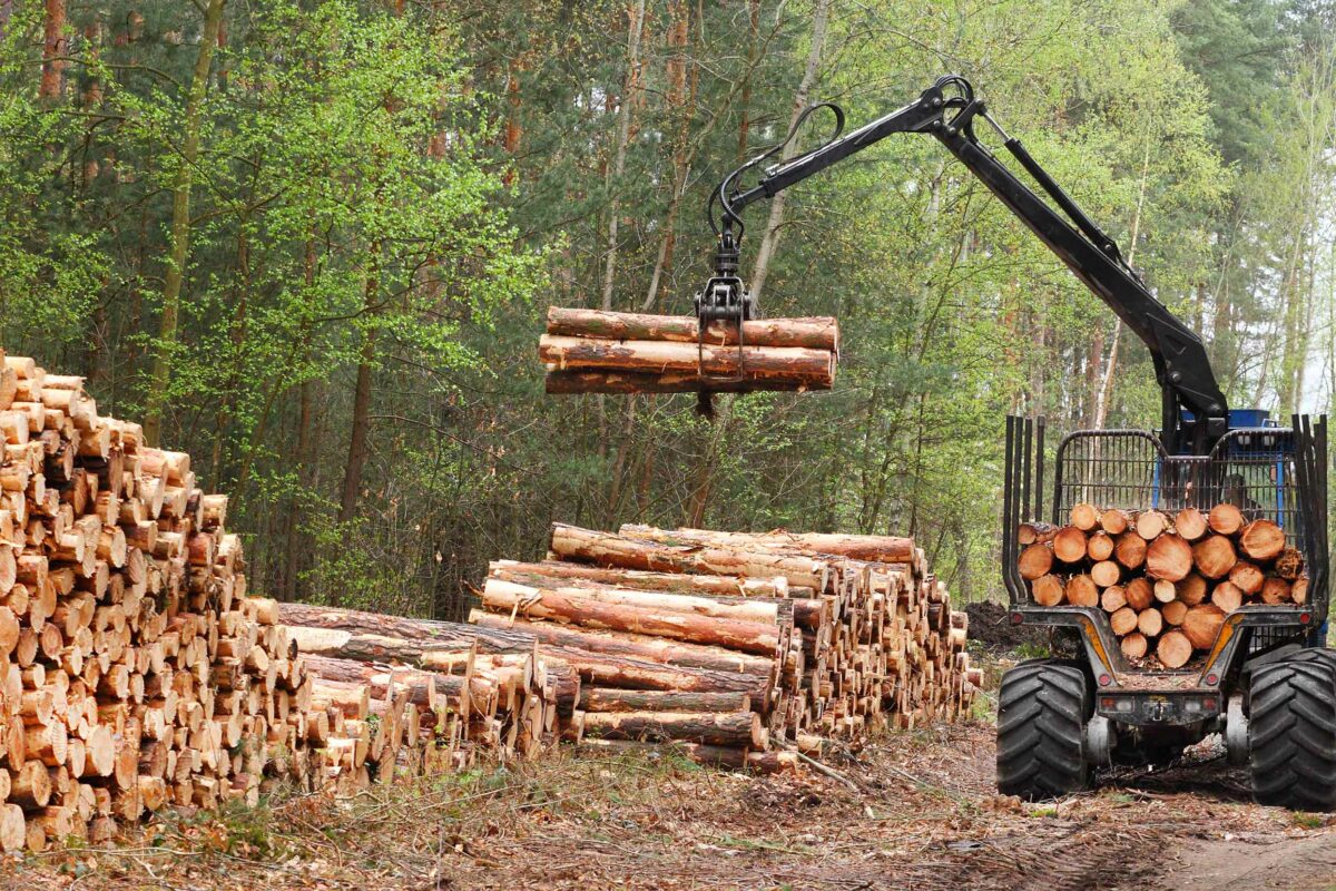 timber crane loading