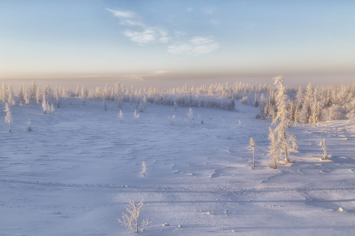 snow tundra terrain