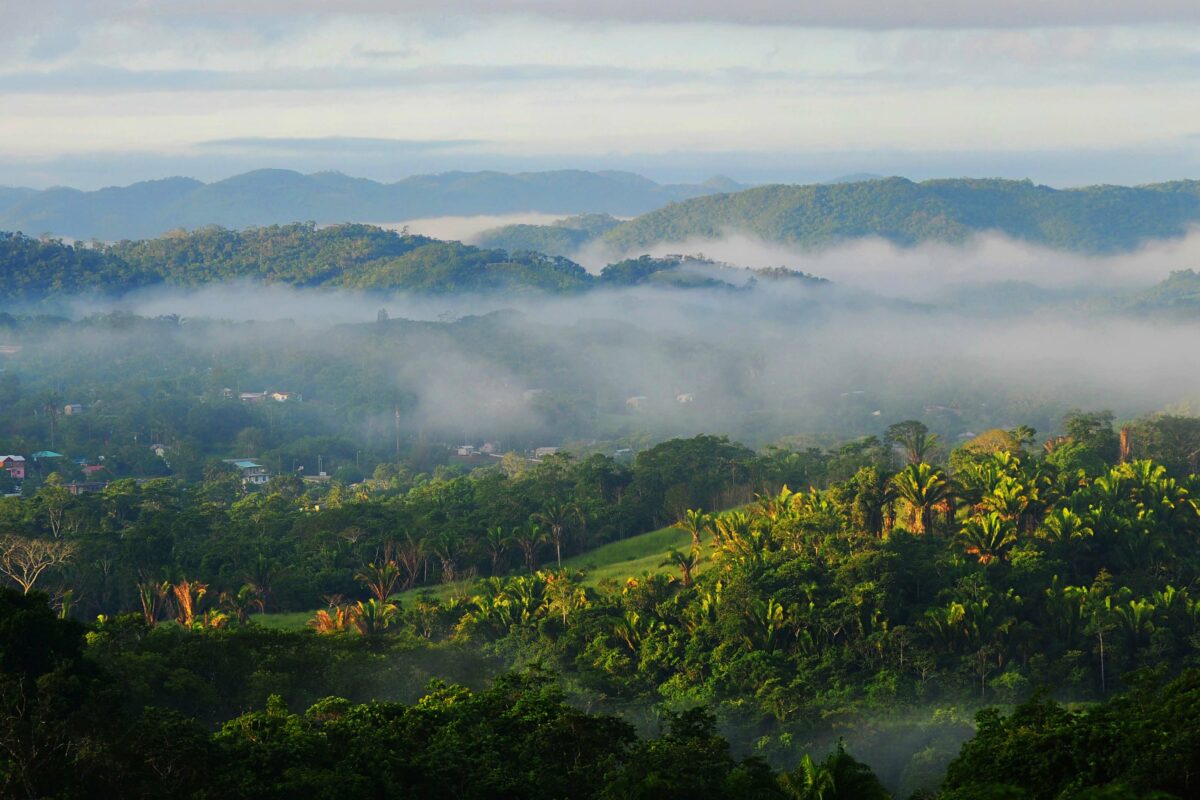 fog in tropical