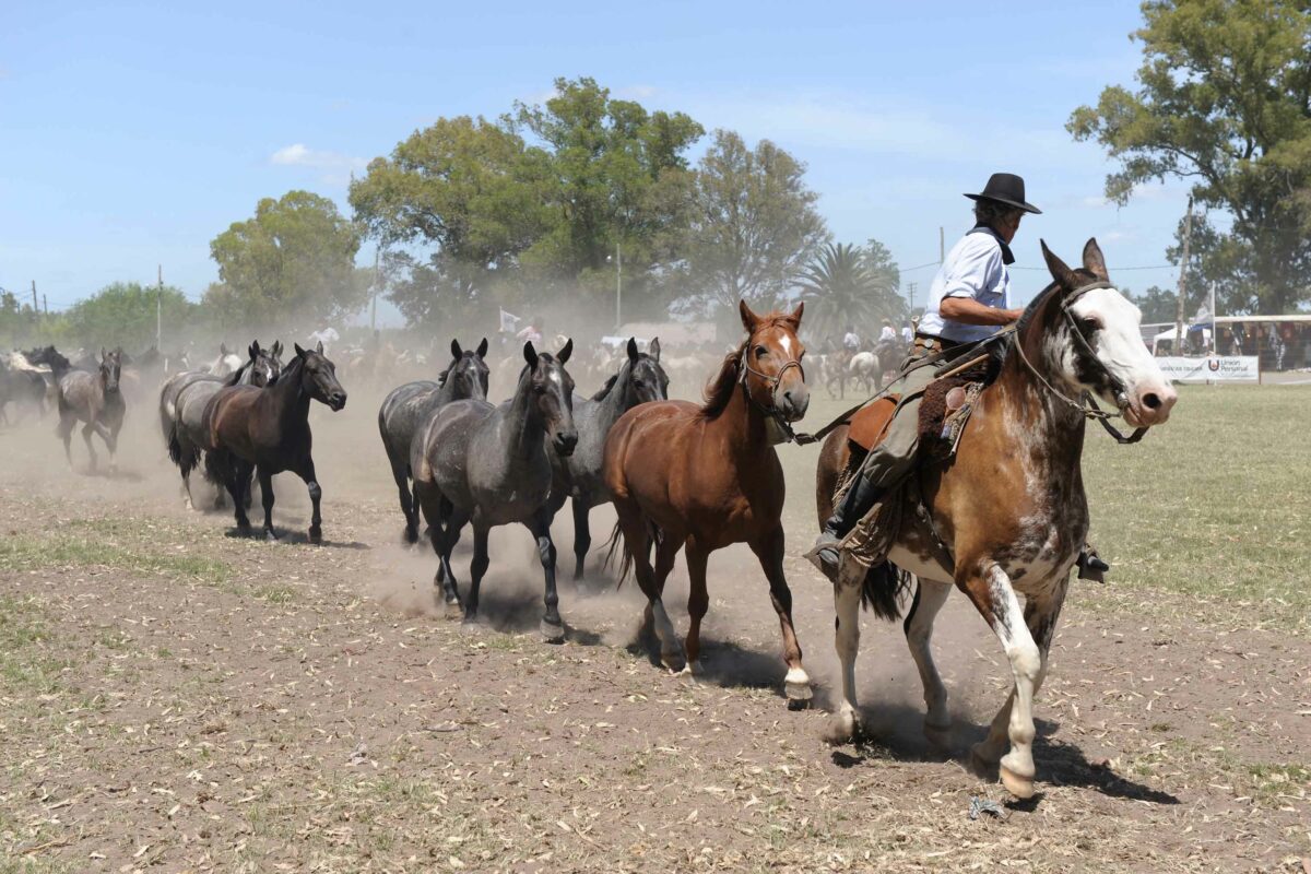 gaucho riding a